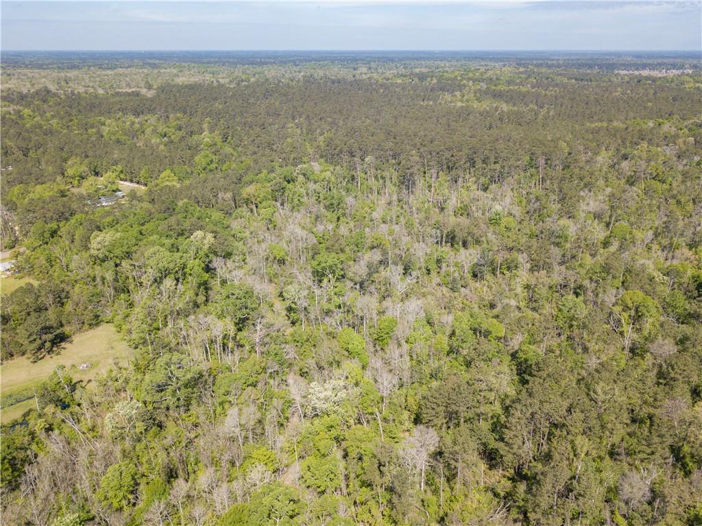 0 Lee's Landing Road Ponchatoula, LA 70454 - Photo 8 of 19