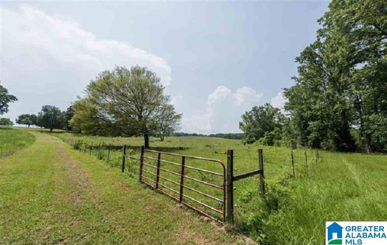 8200 South Main Street Wilsonville, AL 35186 - Photo 40 of 49