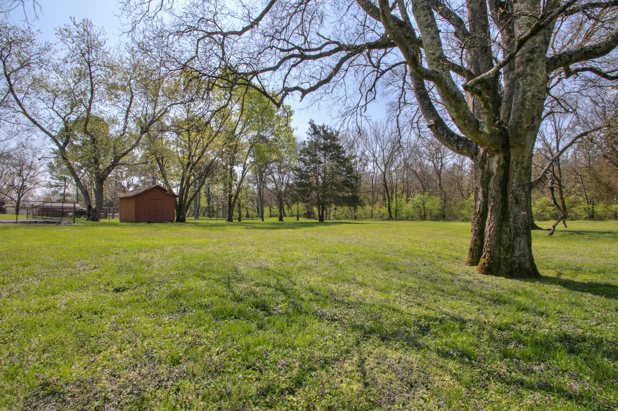 105 Edgebrook Road Goodlettsville, TN 37072 - Photo 8 of 23 Beautiful fenced backyard with storage building