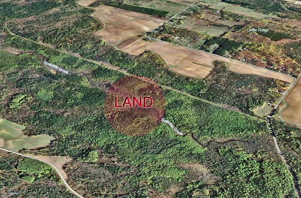 Lot 7 Off Pulcifer Road Mapleton, ME 04757 - Photo 10 of 11 aerial-maine-land-wooded
