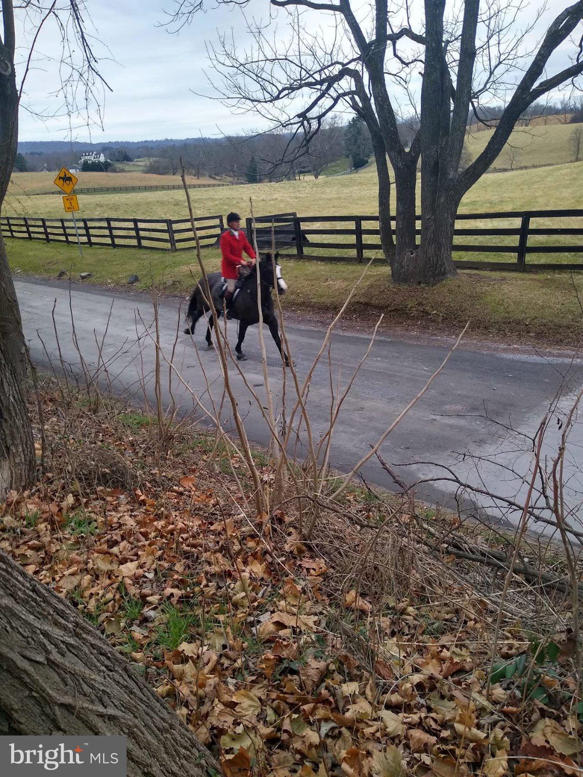 18780 Lincoln Road Hamilton, VA 20158 - Photo 2 of 80 Located in The Heart of Horse Country
