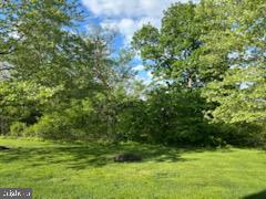 229 Barnhill Road Perkasie, PA 18944 - Photo 65 of 66 a view of a garden
