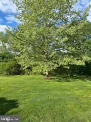 229 Barnhill Road Perkasie, PA 18944 - Photo 66 of 66 a view of a field with an trees