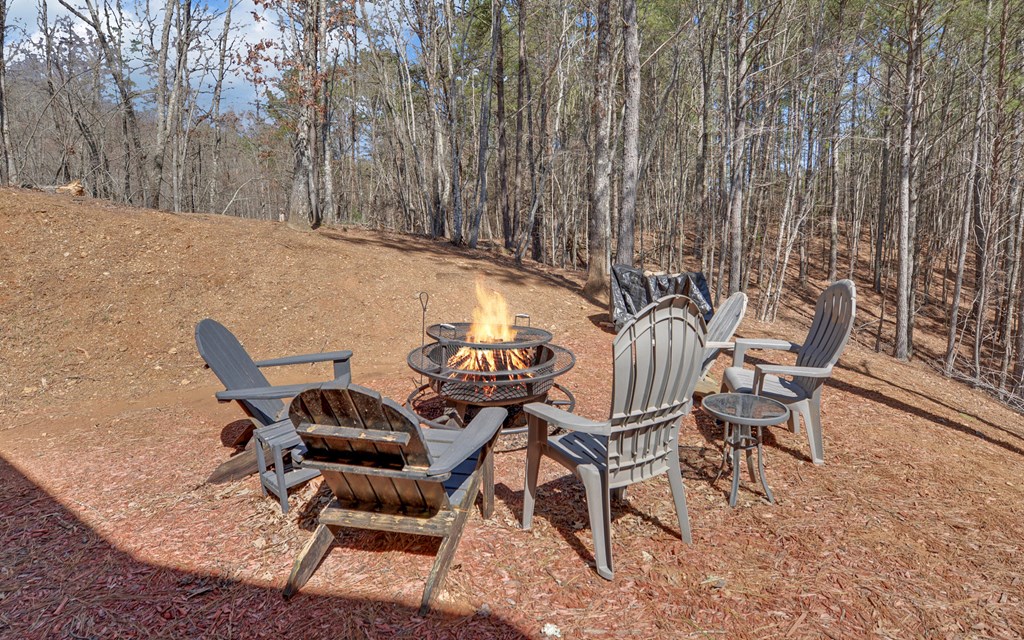 113 Hideaway Trail Copperhill, TN 37317 - Photo 39 of 47