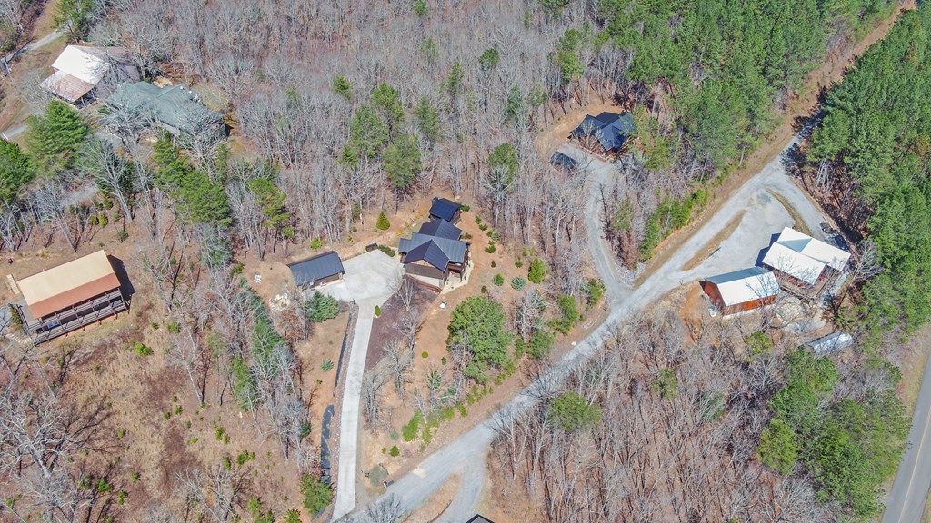 113 Hideaway Trail Copperhill, TN 37317 - Photo 45 of 47