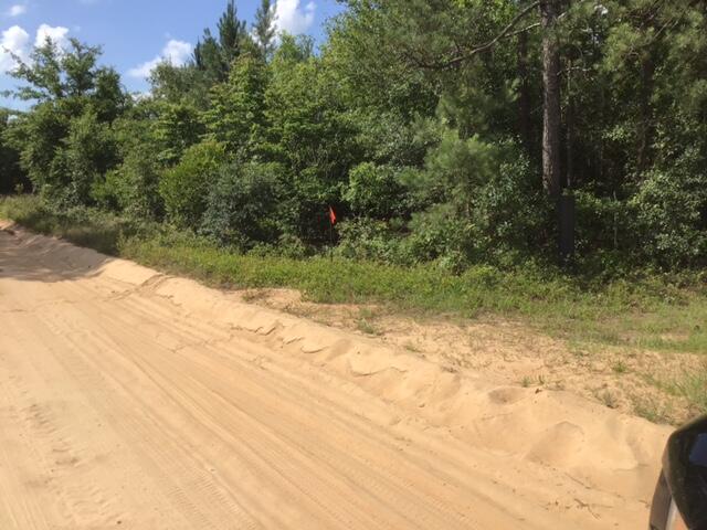 Tbd Red Shadow Road Wagener, SC 29164 - Photo 4 of 11