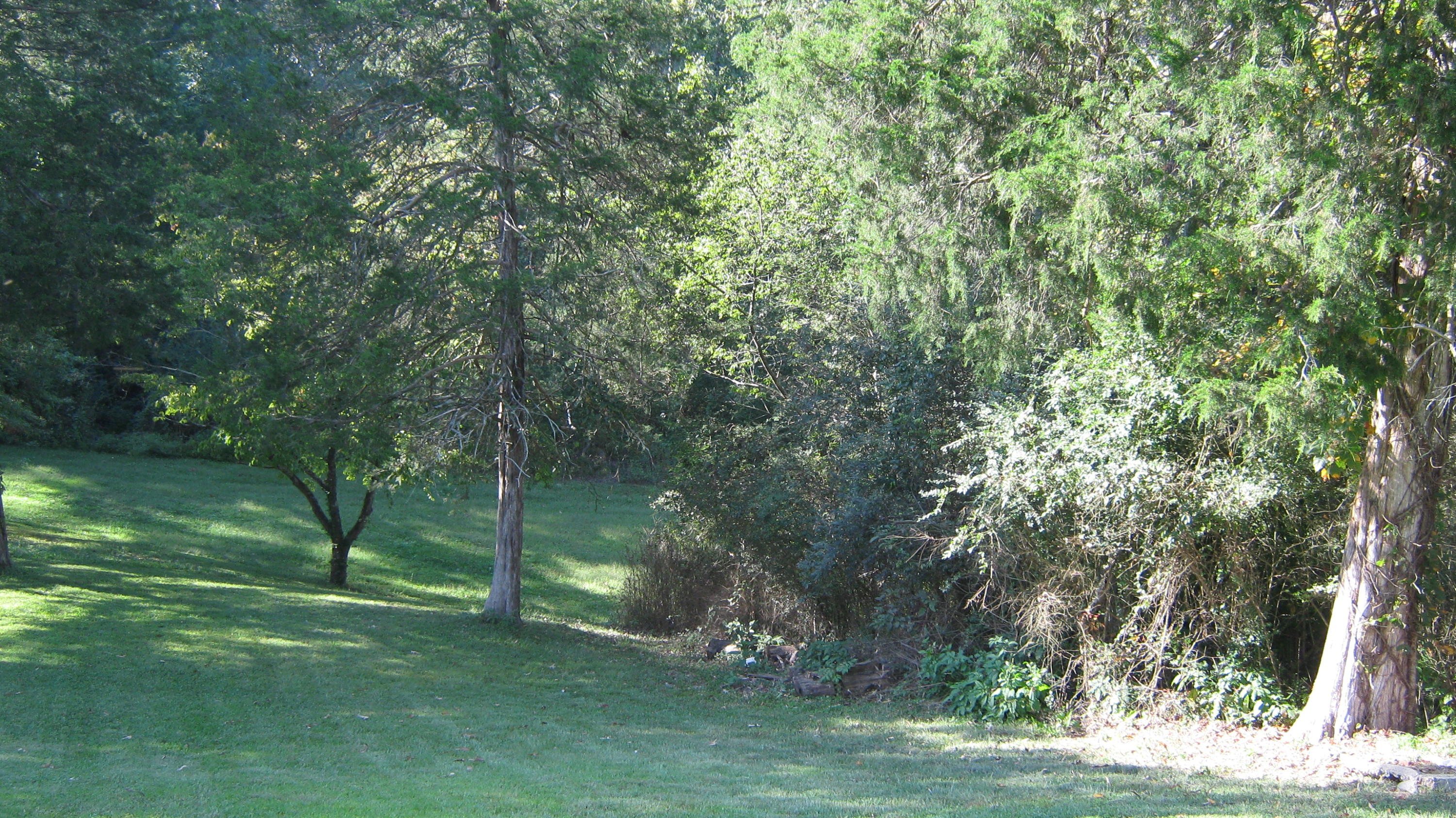 339 Akins Road Ringgold, GA 30736 - Photo 18 of 50 IMG_0638