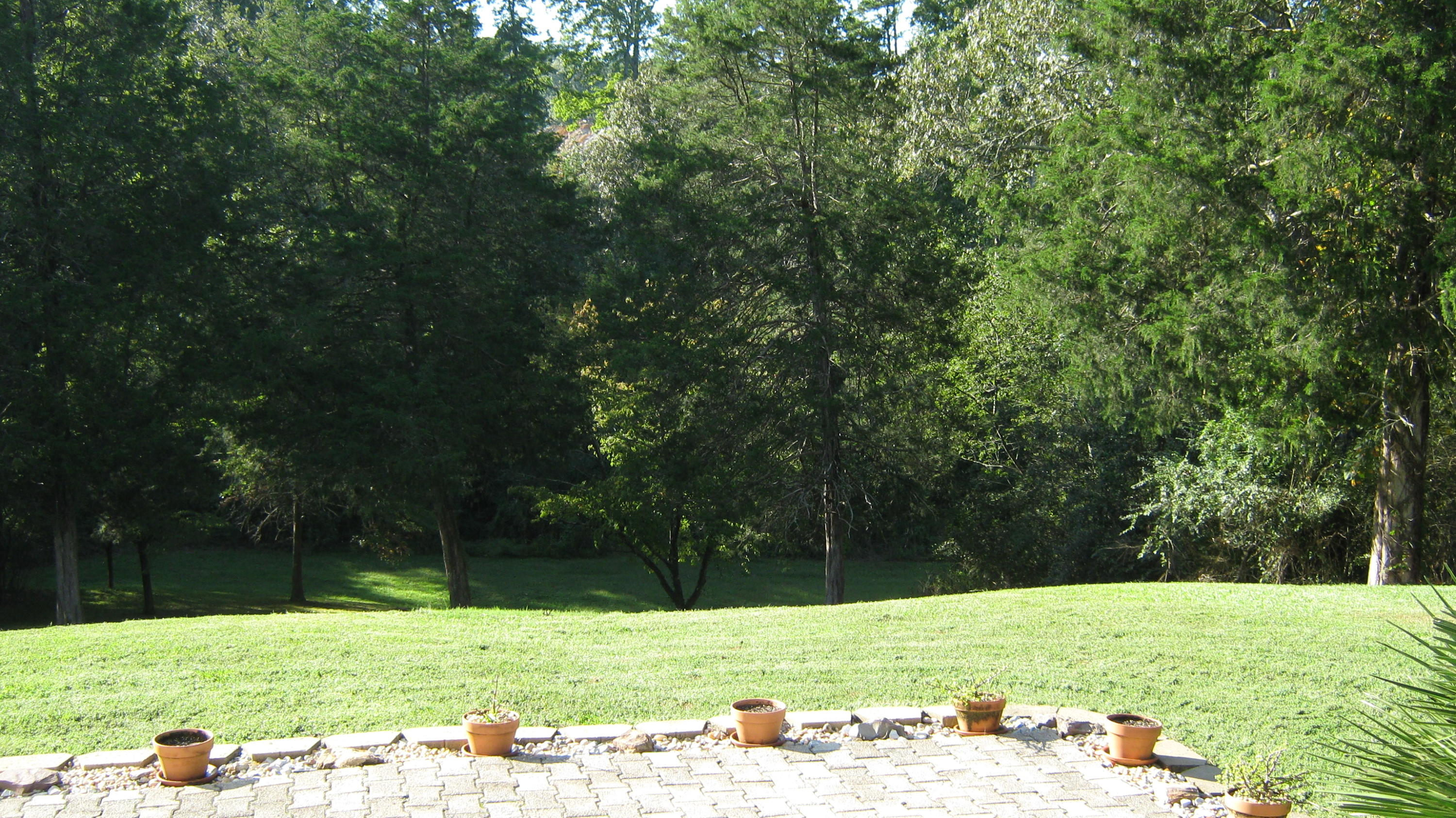 339 Akins Road Ringgold, GA 30736 - Photo 19 of 50 IMG_0641
