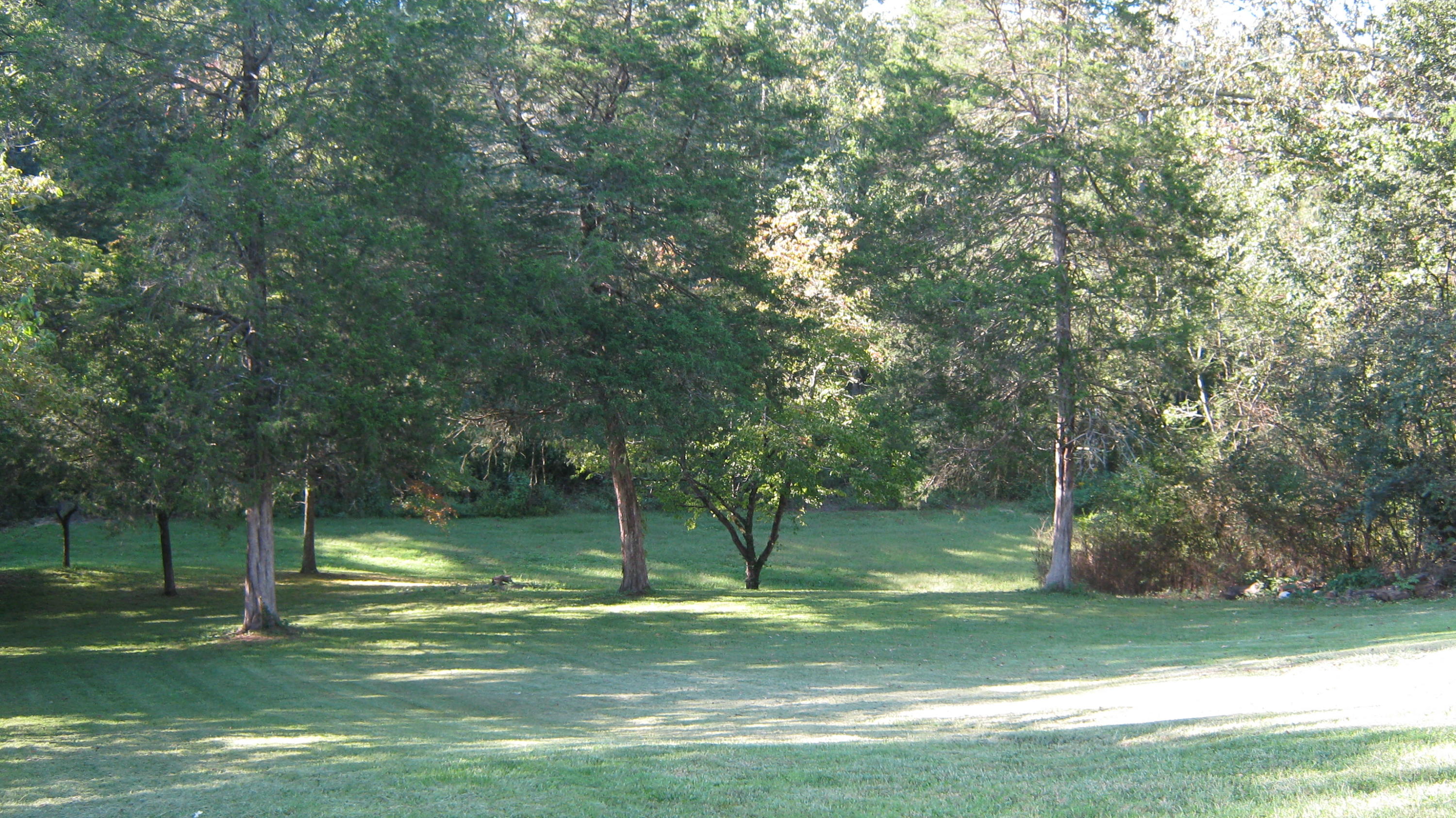 339 Akins Road Ringgold, GA 30736 - Photo 20 of 50 IMG_0643