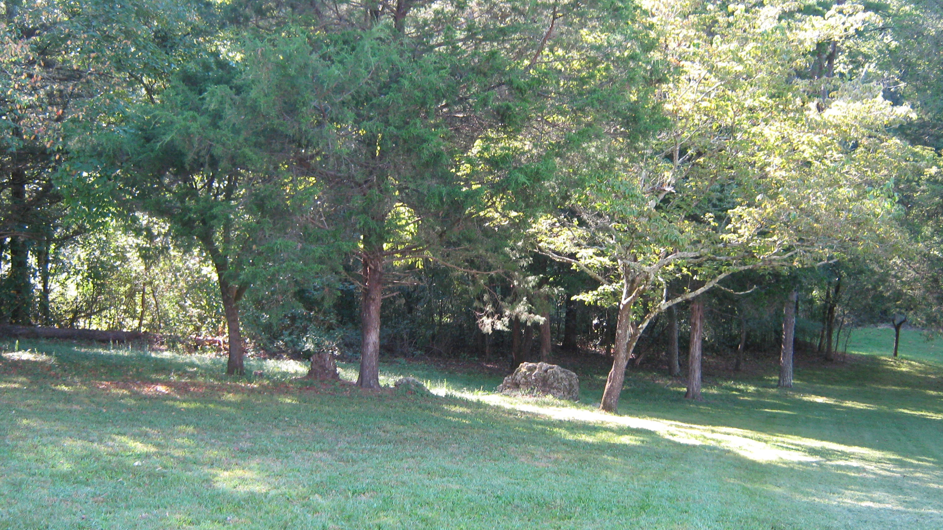 339 Akins Road Ringgold, GA 30736 - Photo 21 of 50 IMG_0644