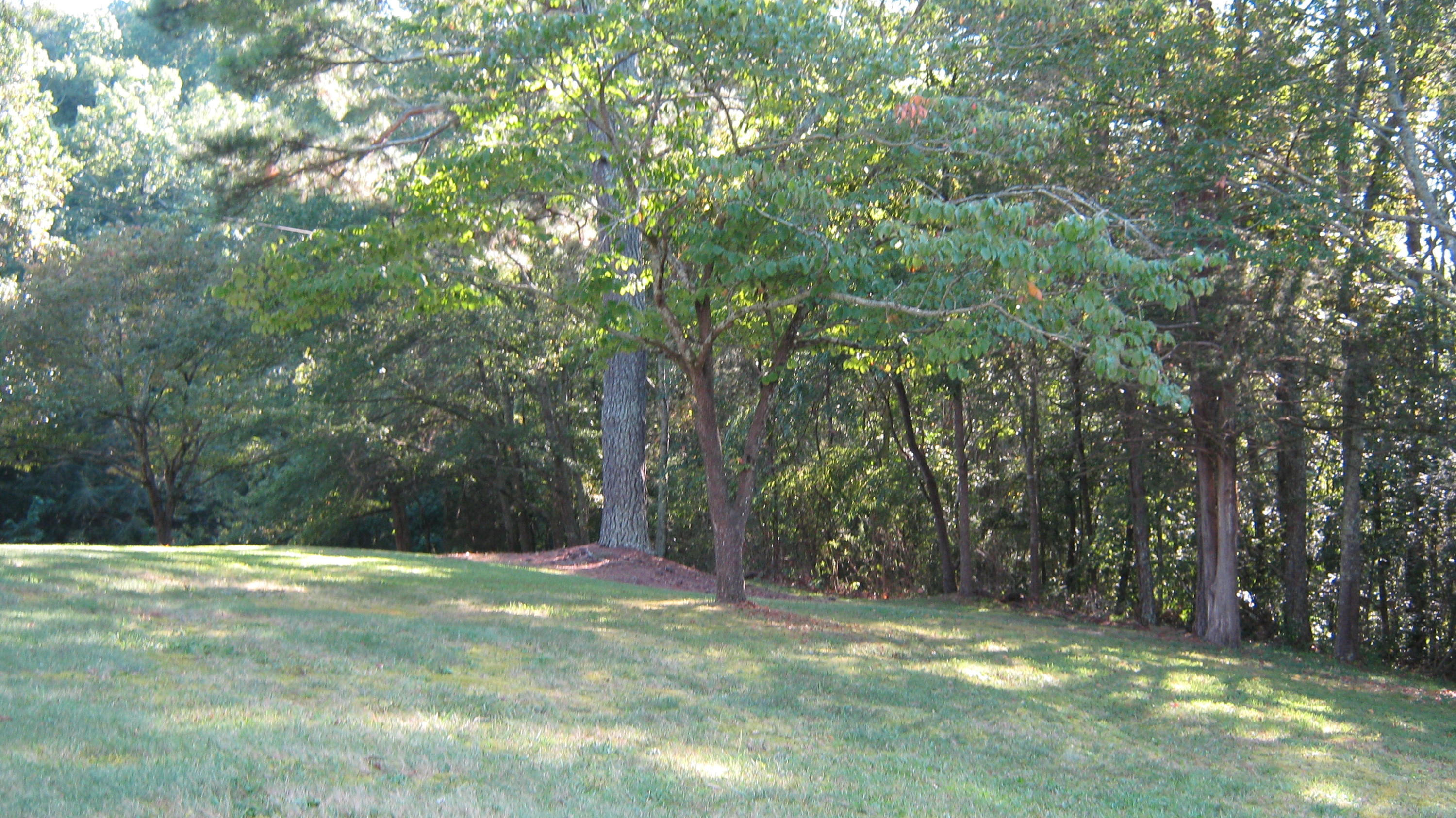339 Akins Road Ringgold, GA 30736 - Photo 8 of 50 IMG_0645