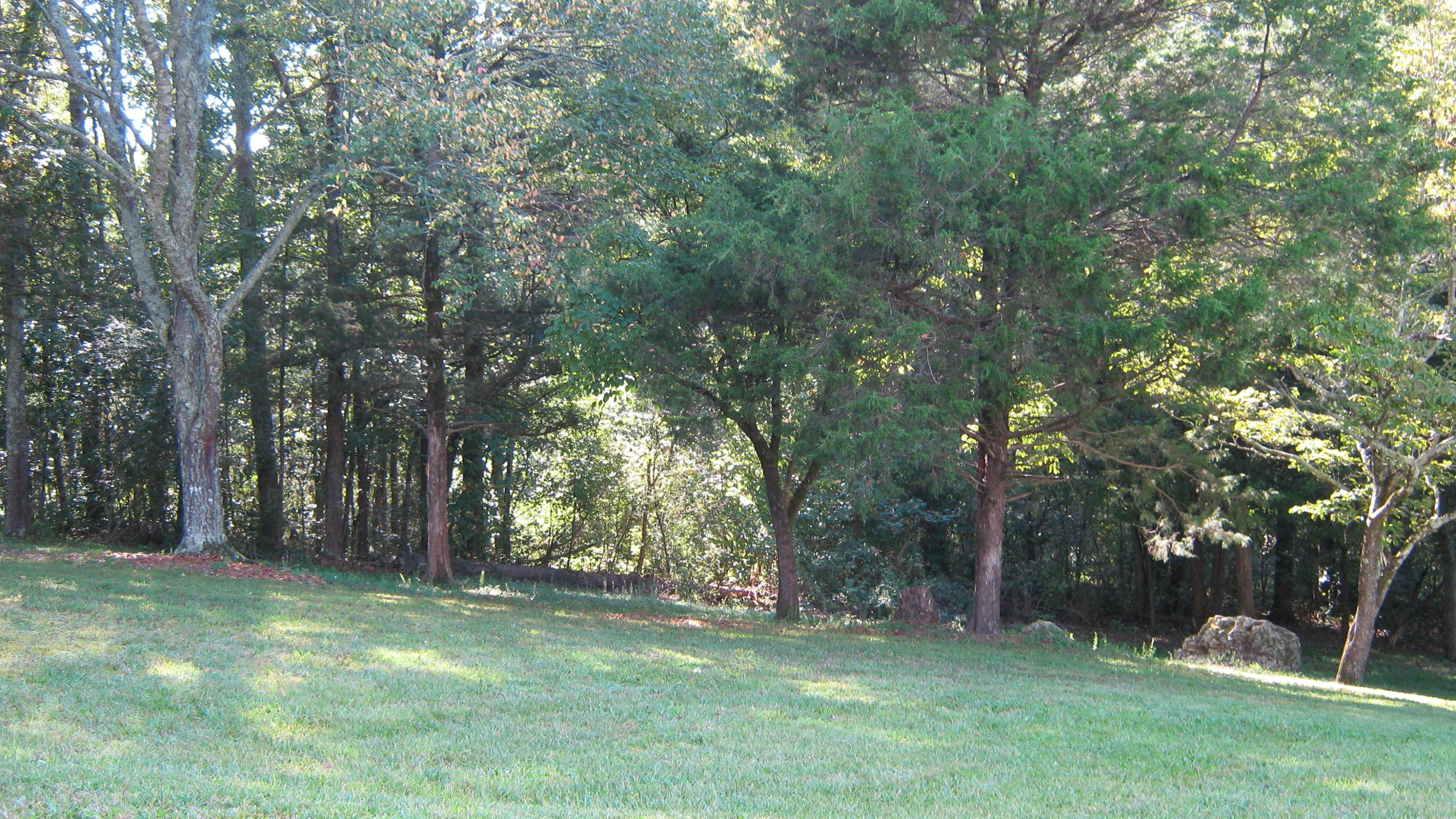 339 Akins Road Ringgold, GA 30736 - Photo 9 of 50 IMG_0646
