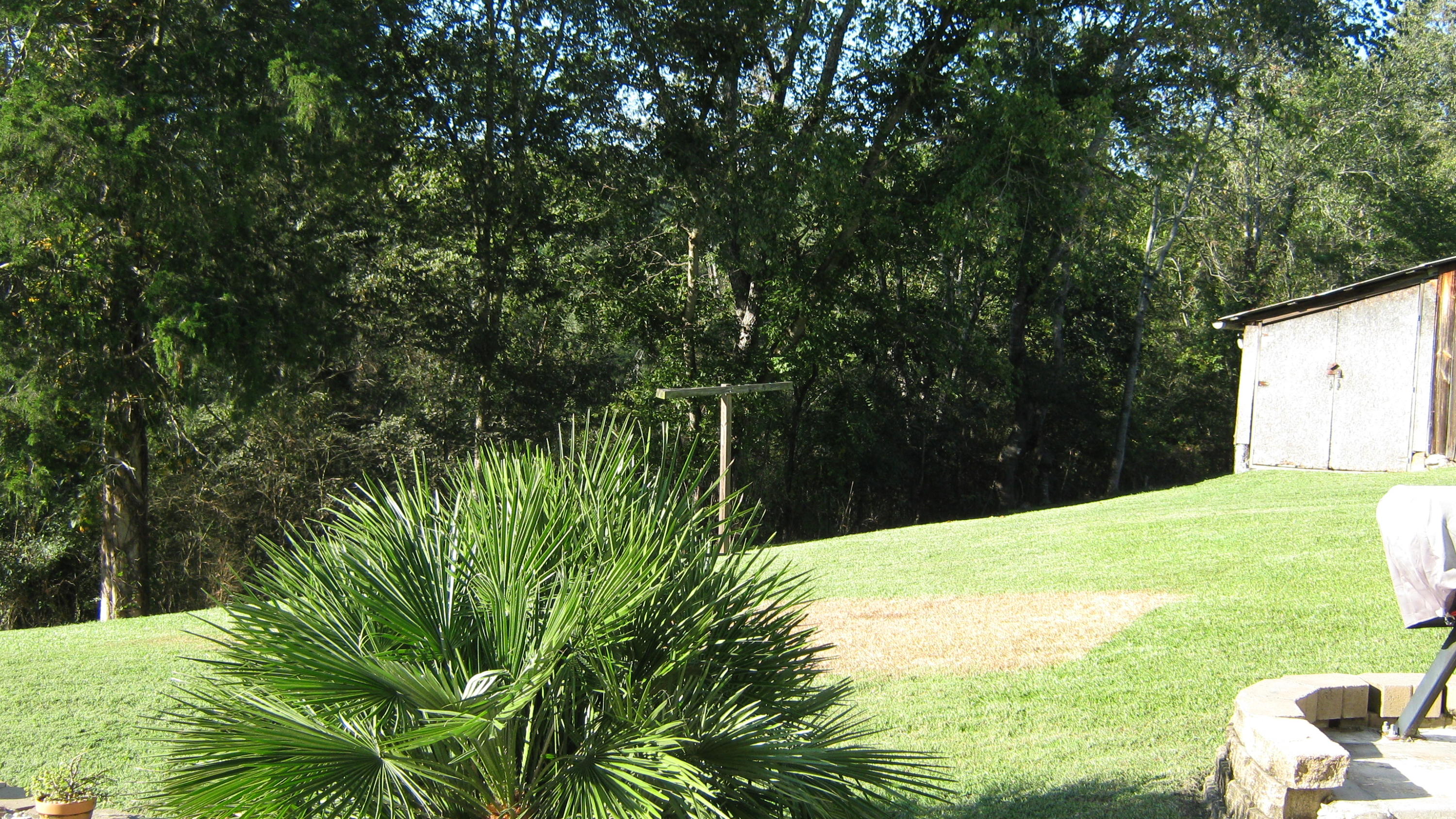 339 Akins Road Ringgold, GA 30736 - Photo 10 of 50 IMG_0642