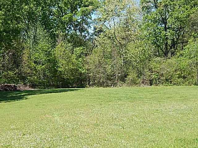 341 Davis Crossing Road Canton, MS 39046 - Photo 3 of 36 Photo 3