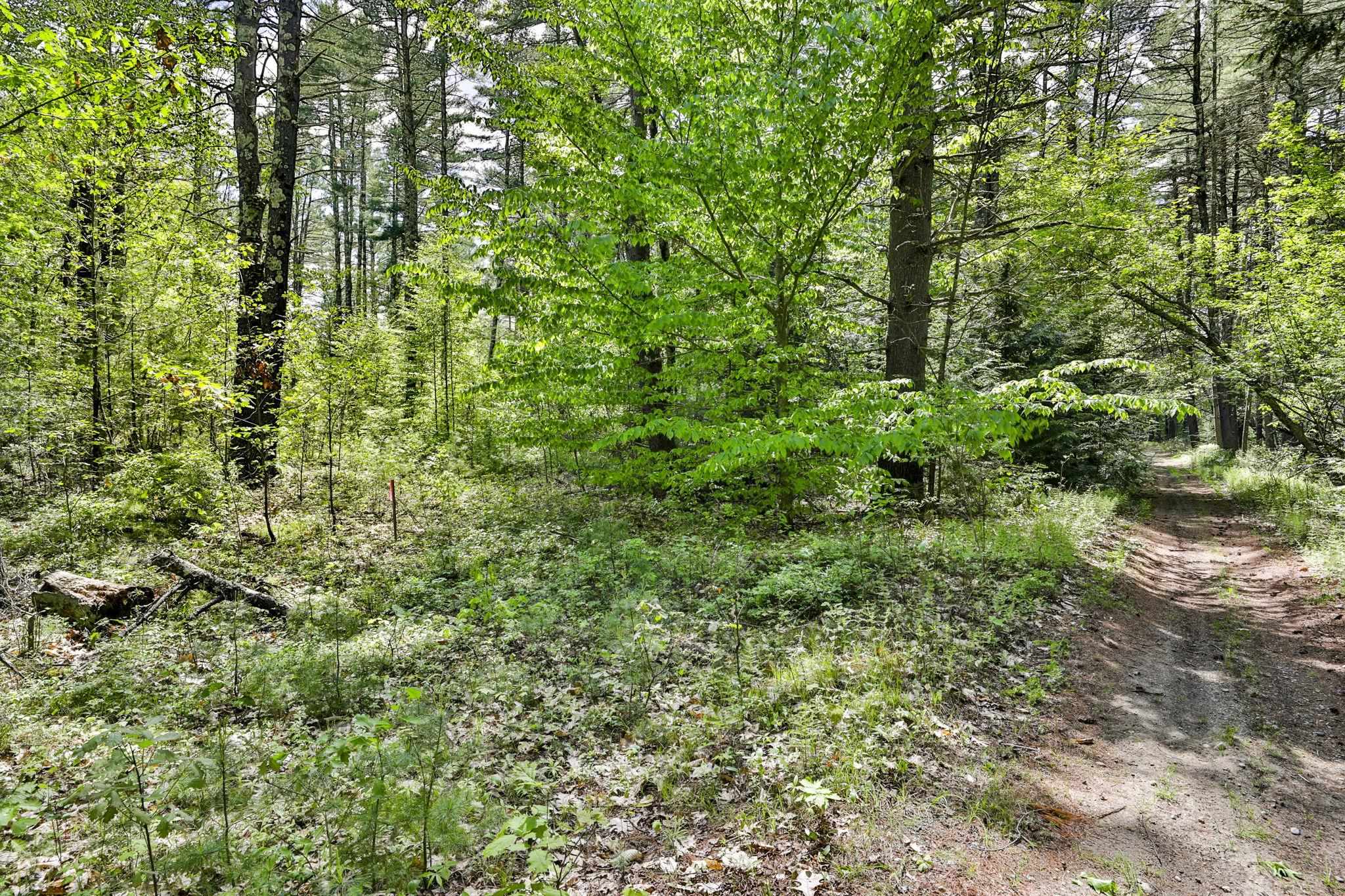 2-a & 2b Camp Road Amherst, NH 03031 - Photo 6 of 12