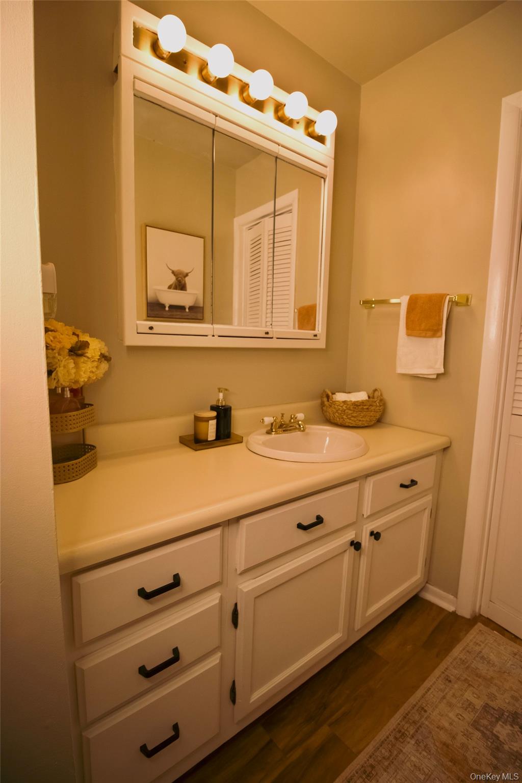 805 Eagles Ridge Road Brewster, NY 10509 - Photo 17 of 22 a bathroom with a sink and a mirror