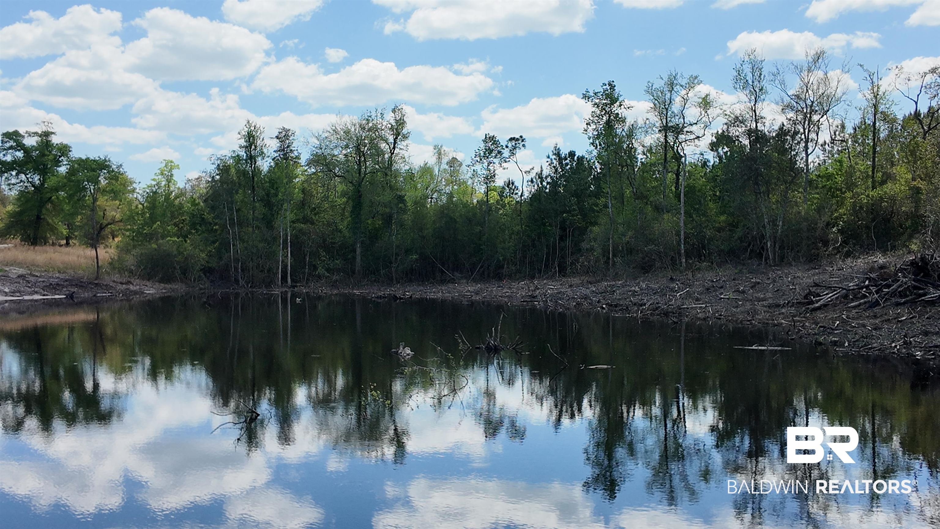 0 Powell Road Eight Mile, AL 36613 - Photo 21 of 57
