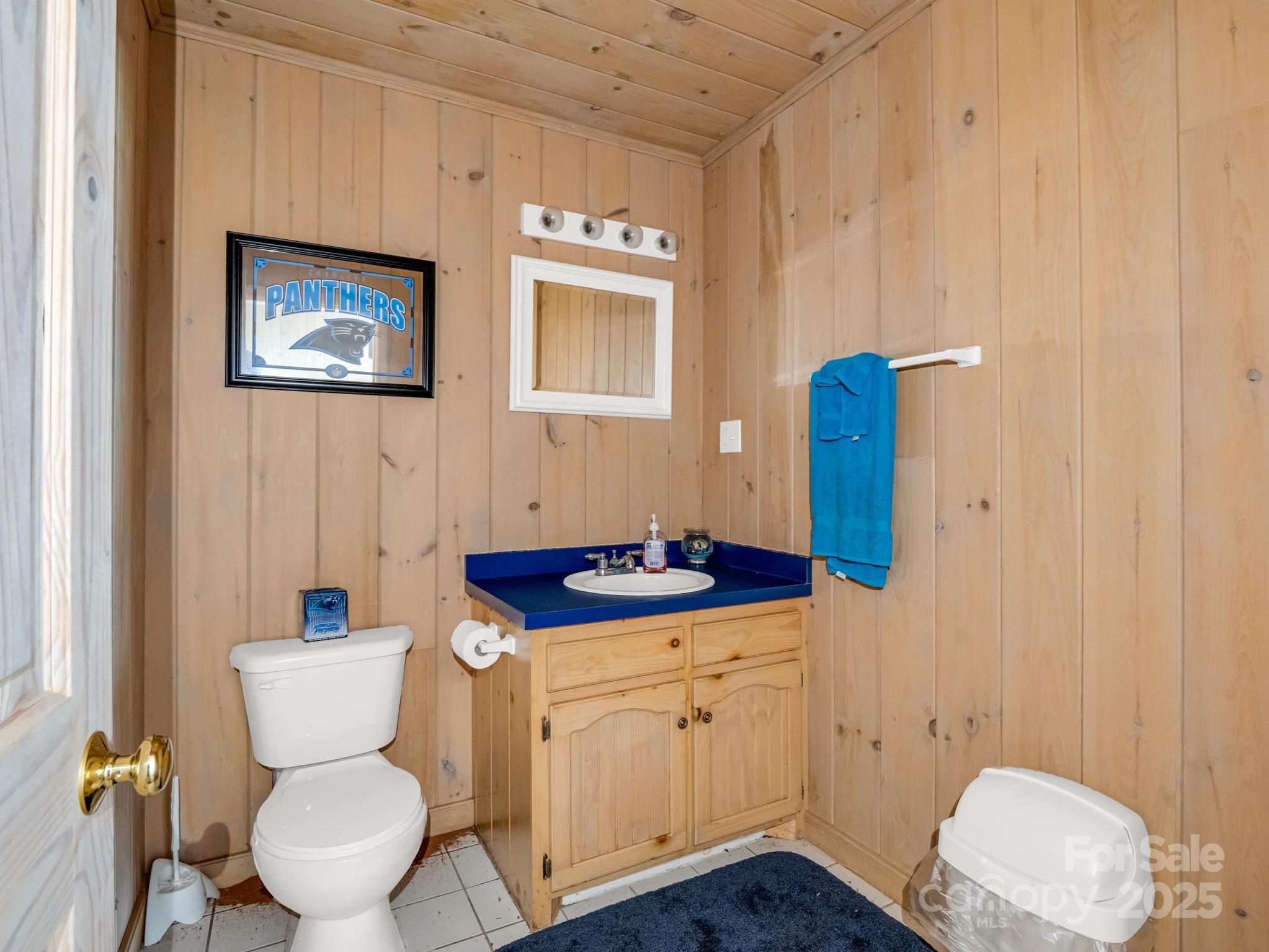 0 Us 64/74a Highway Rutherfordton, NC 28139 - Photo 11 of 37 a bathroom with a toilet a sink and a mirror