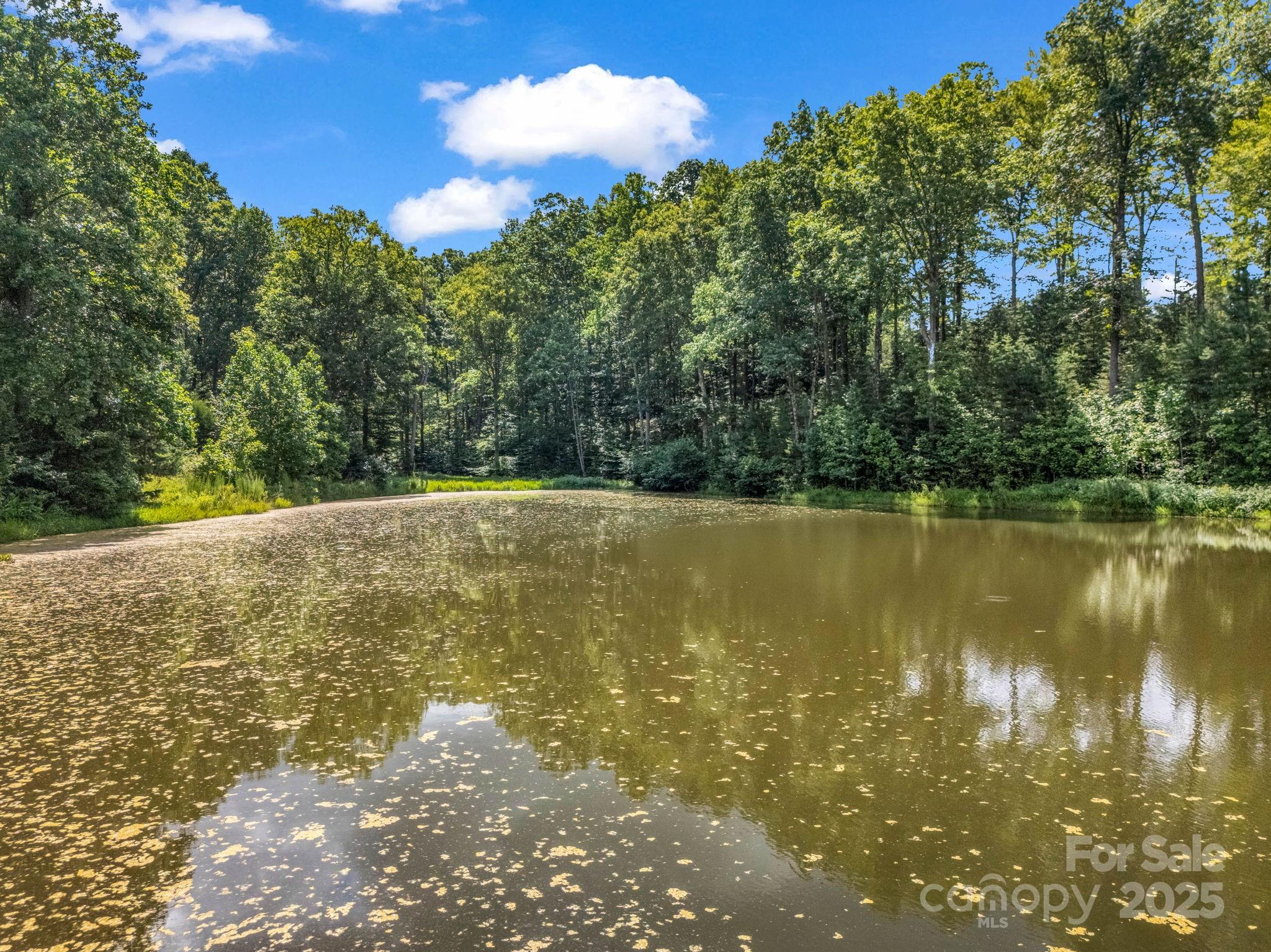 0 Us 64/74a Highway Rutherfordton, NC 28139 - Photo 20 of 37 a view of lake with green space