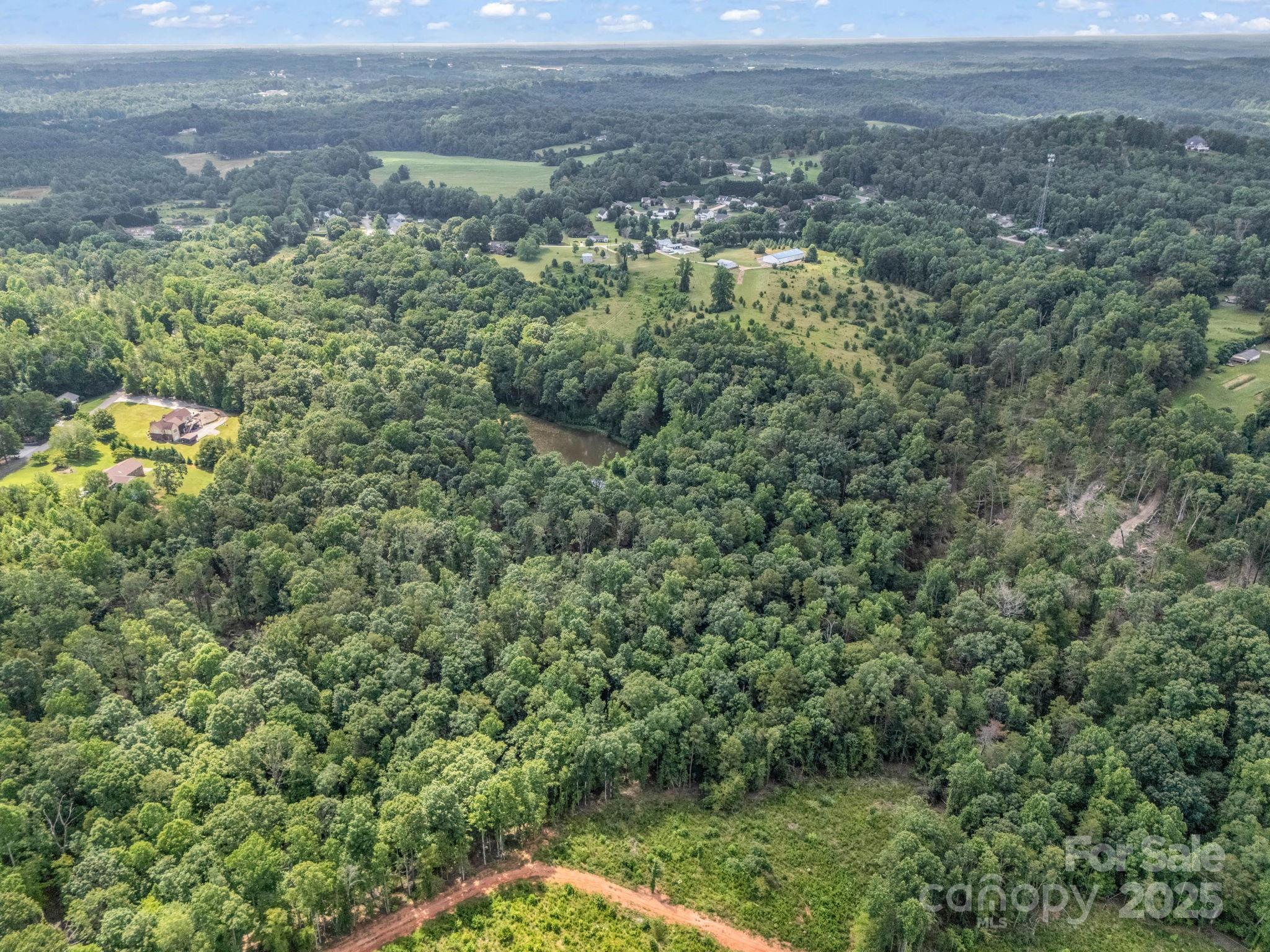 0 Us 64/74a Highway Rutherfordton, NC 28139 - Photo 30 of 37 a view of a big yard with plants and large trees