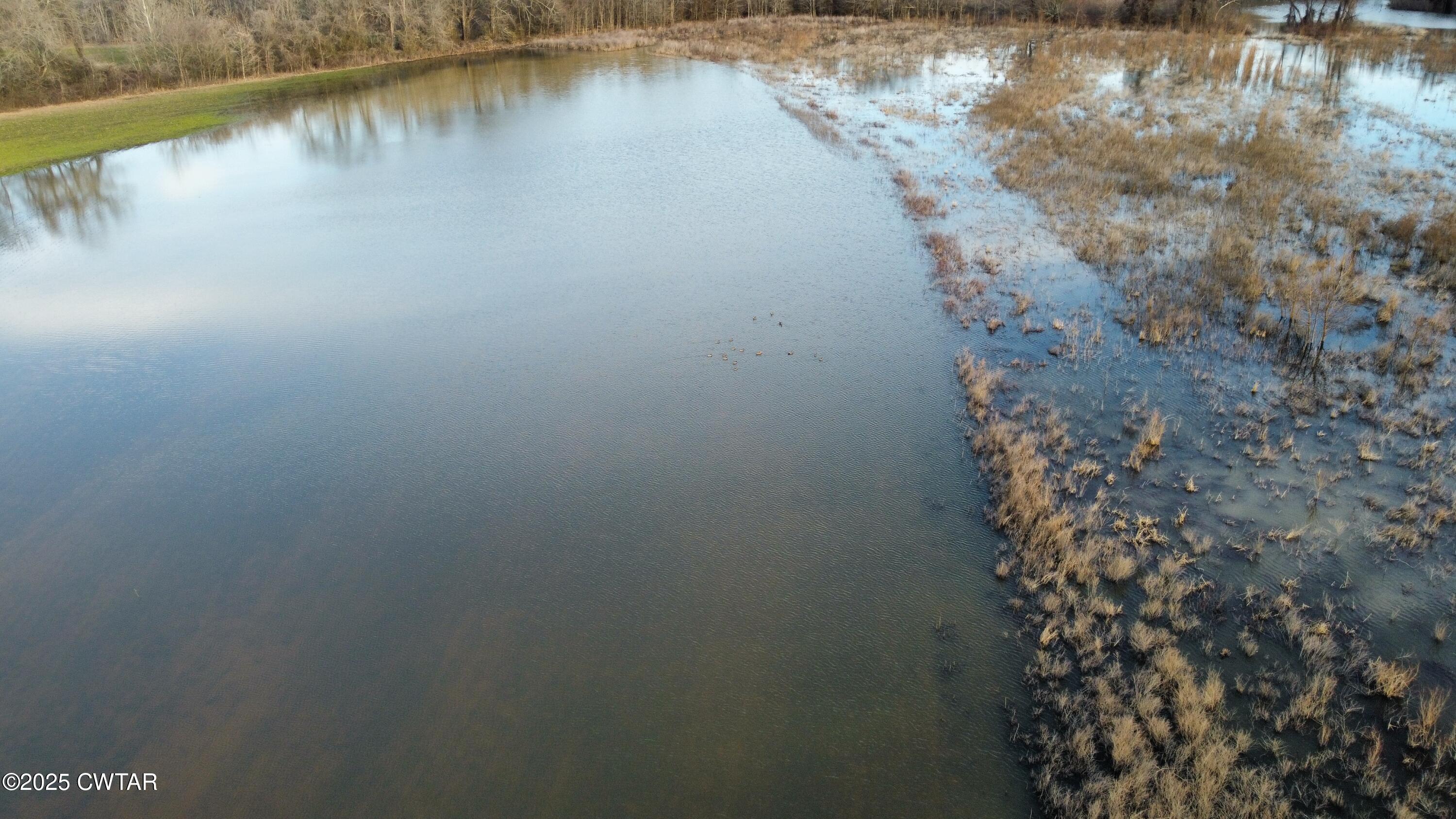 0 Sam Ganaway Road Trenton, TN 38382 - Photo 1 of 21 Flooded Field