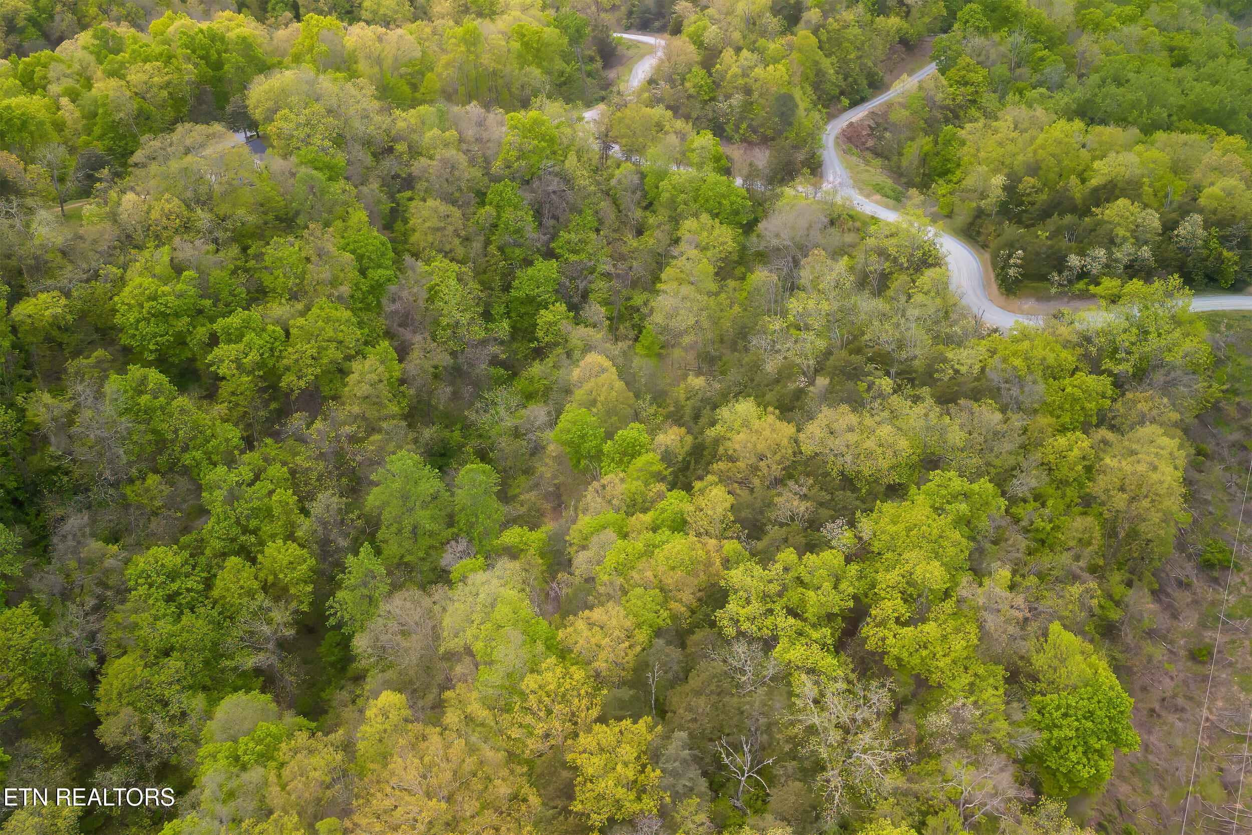 Cove Way Newport, TN 37821 - Photo 9 of 11 7_dro006