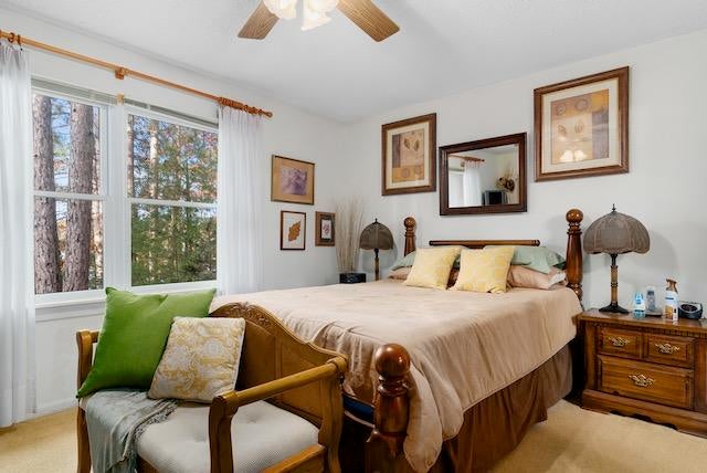 1891 Slater Road Cheboygan, MI 49721 - Photo 14 of 32 Gallery Image 14