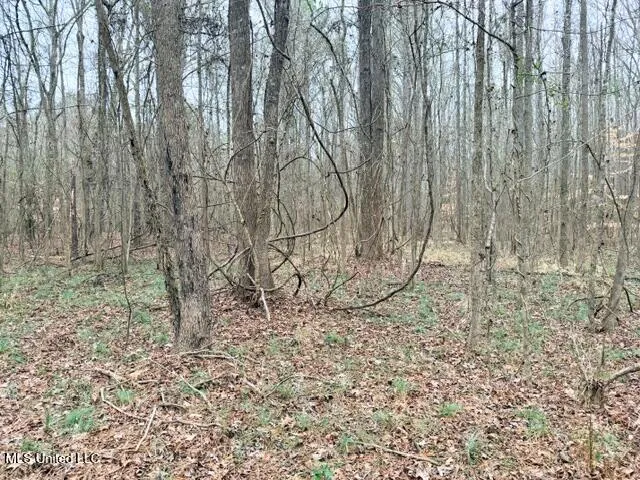 $214,900 | 454 Old Enochs Road, Florence, MS 39073