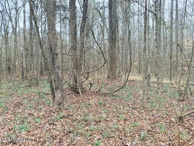 454 Old Enochs Road Florence, MS 39073 - Photo 24 of 28 IMG_5149