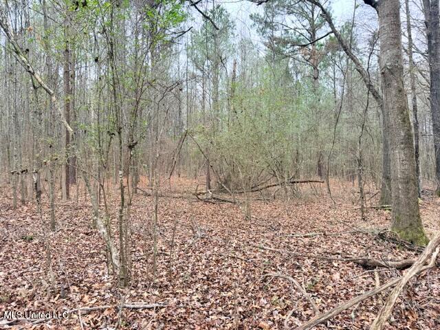 454 Old Enochs Road Florence, MS 39073 - Photo 25 of 28 IMG_5150