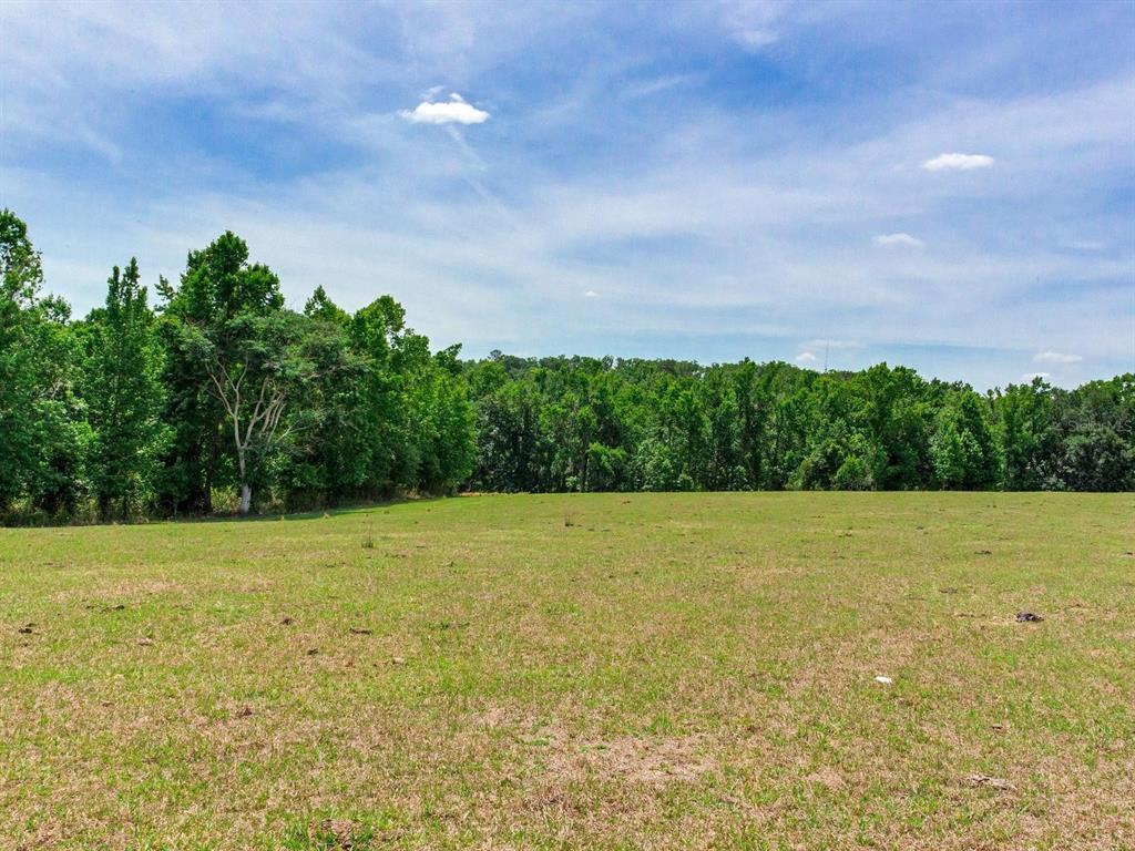 Spring Lake Highway Brooksville, FL 34602 - Photo 3 of 49 a view of a field with an outdoor space