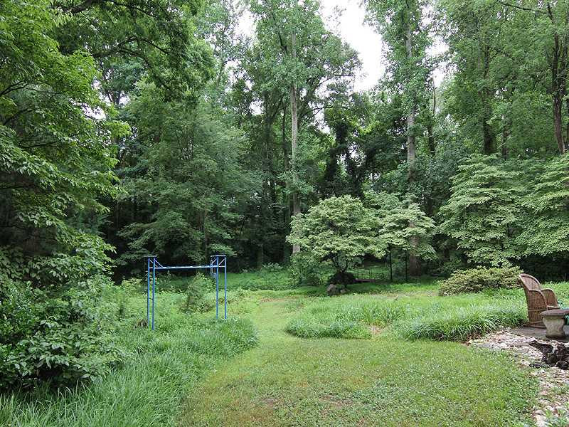 727 Runnymede Road Raleigh, NC 27607 - Photo 4 of 14 another backyard view