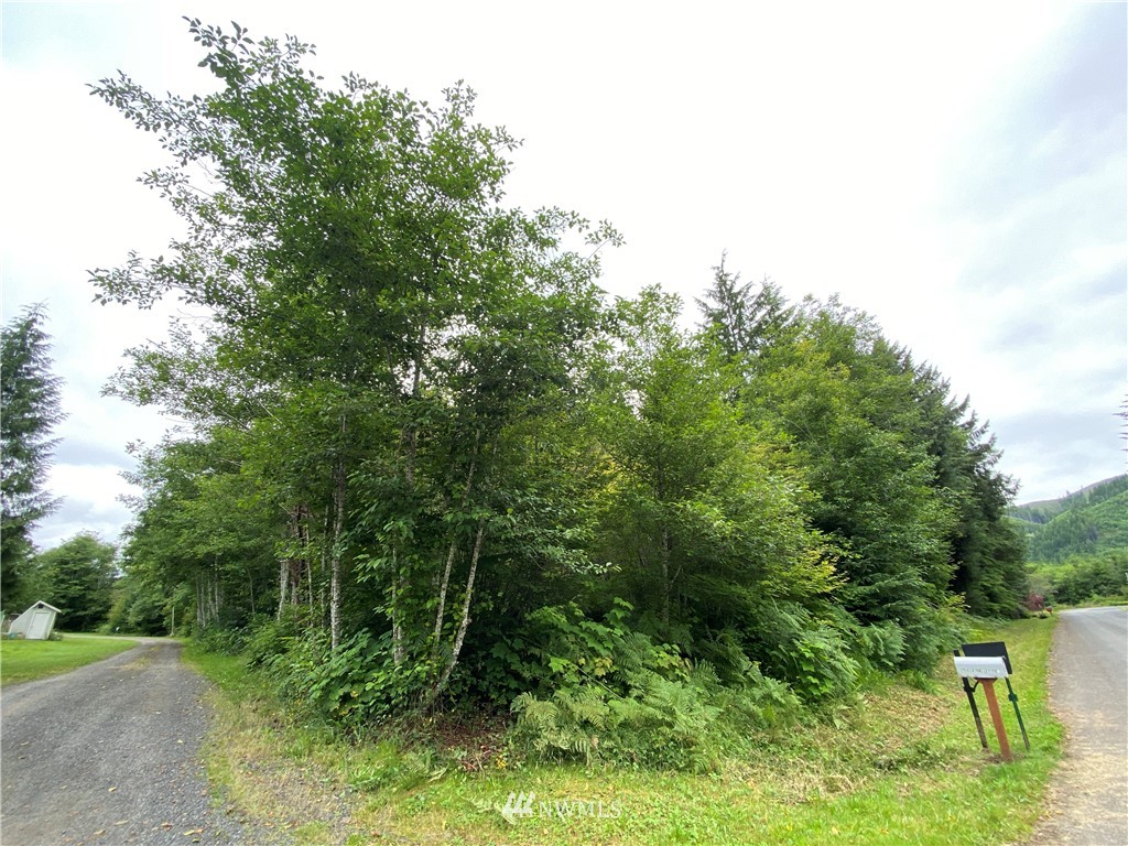 999 Elk Valley Road Forks, WA 98331 - Photo 1 of 19 Gallery Image 1