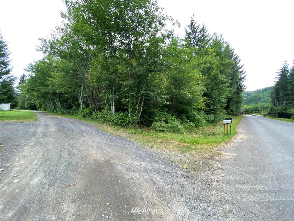 999 Elk Valley Road Forks, WA 98331 - Photo 16 of 19 Gallery Image 16