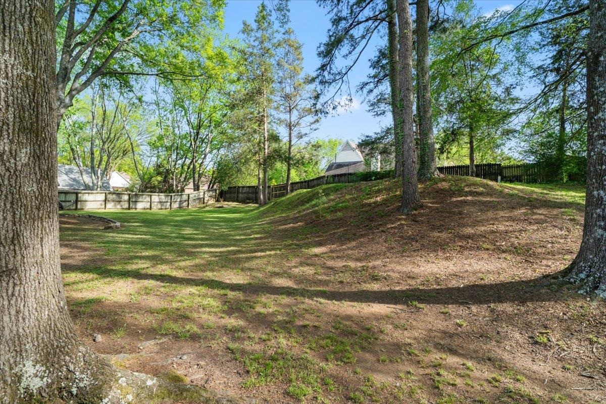 259 West White Road Collierville, TN 38017 - Photo 33 of 39