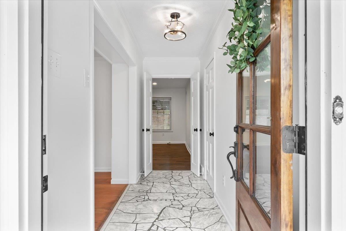 259 West White Road Collierville, TN 38017 - Photo 4 of 39