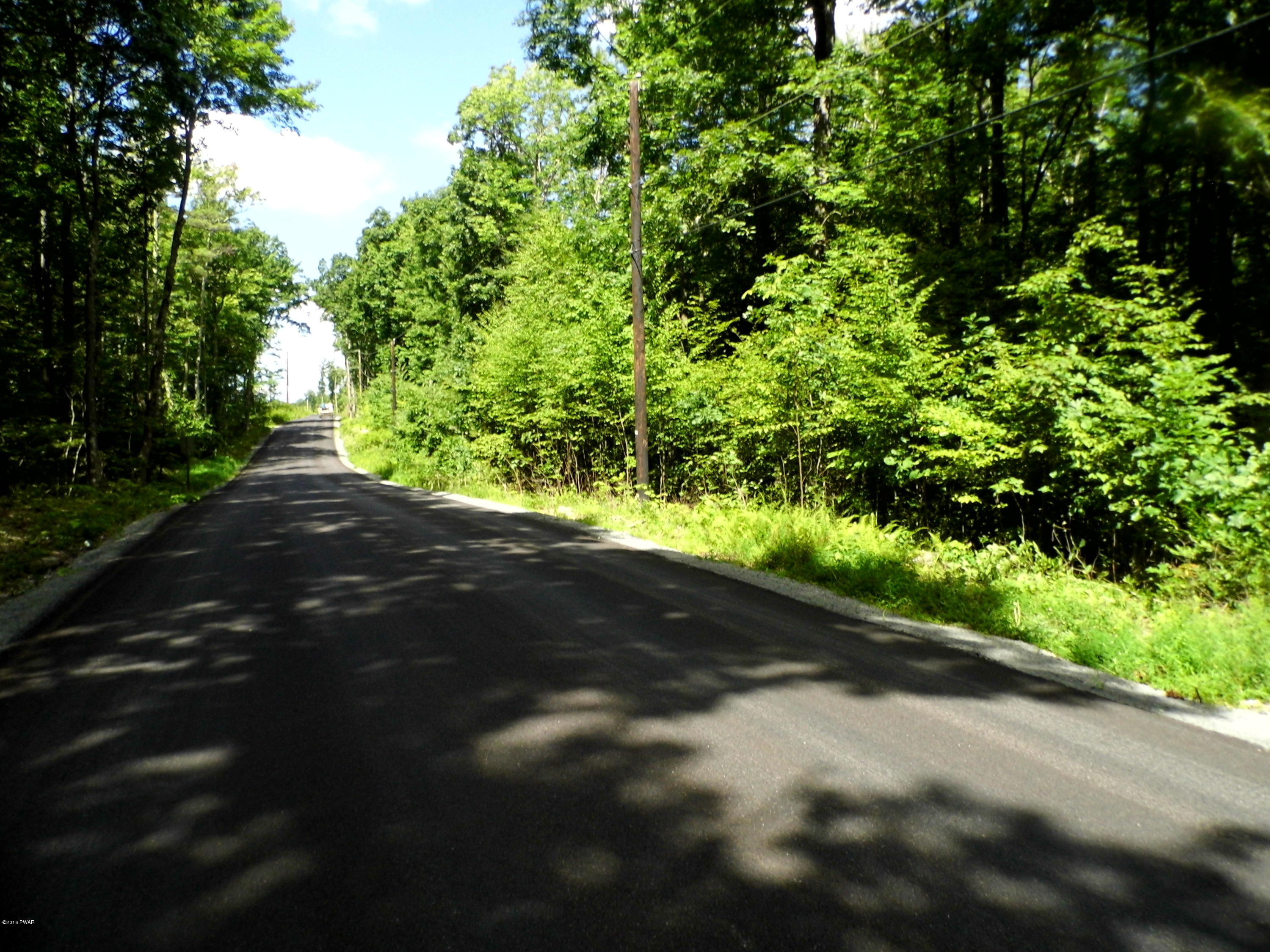 Hoadleys Road Hawley, PA 18428 - Photo 2 of 7