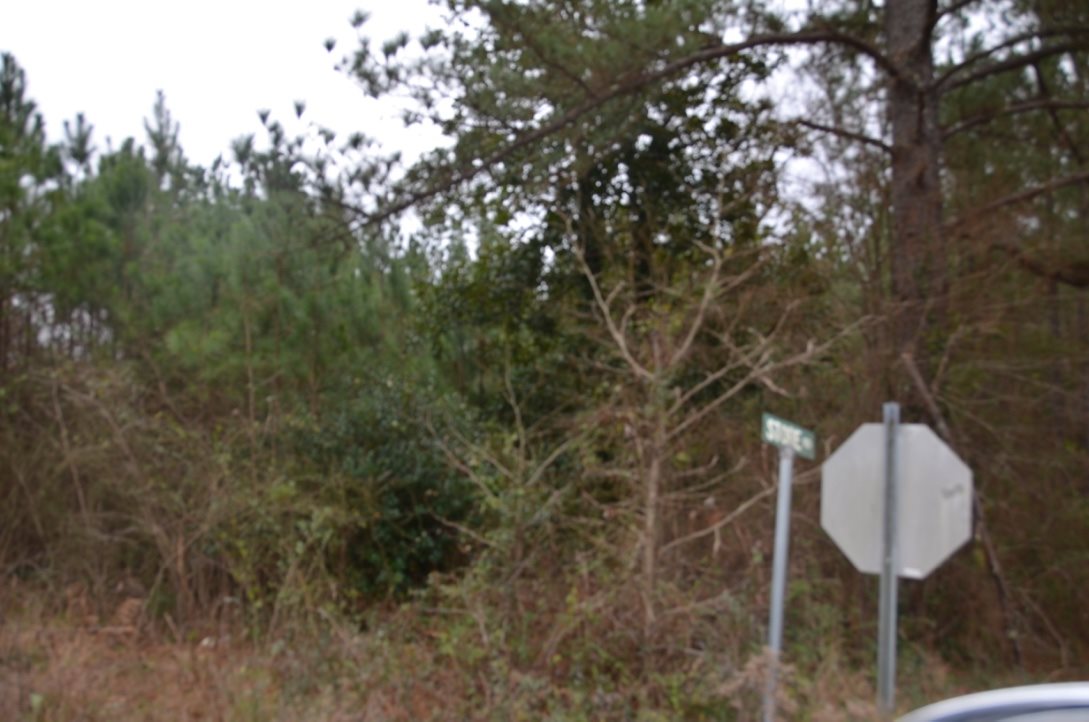 14-acres Store Front Road Chester, SC 29706 - Photo 2 of 7 Gallery Image 2