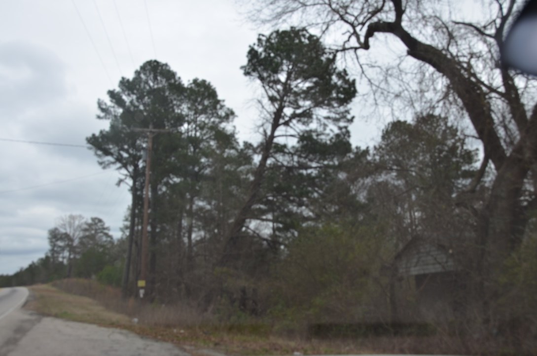 14-acres Store Front Road Chester, SC 29706 - Photo 4 of 7 Gallery Image 4