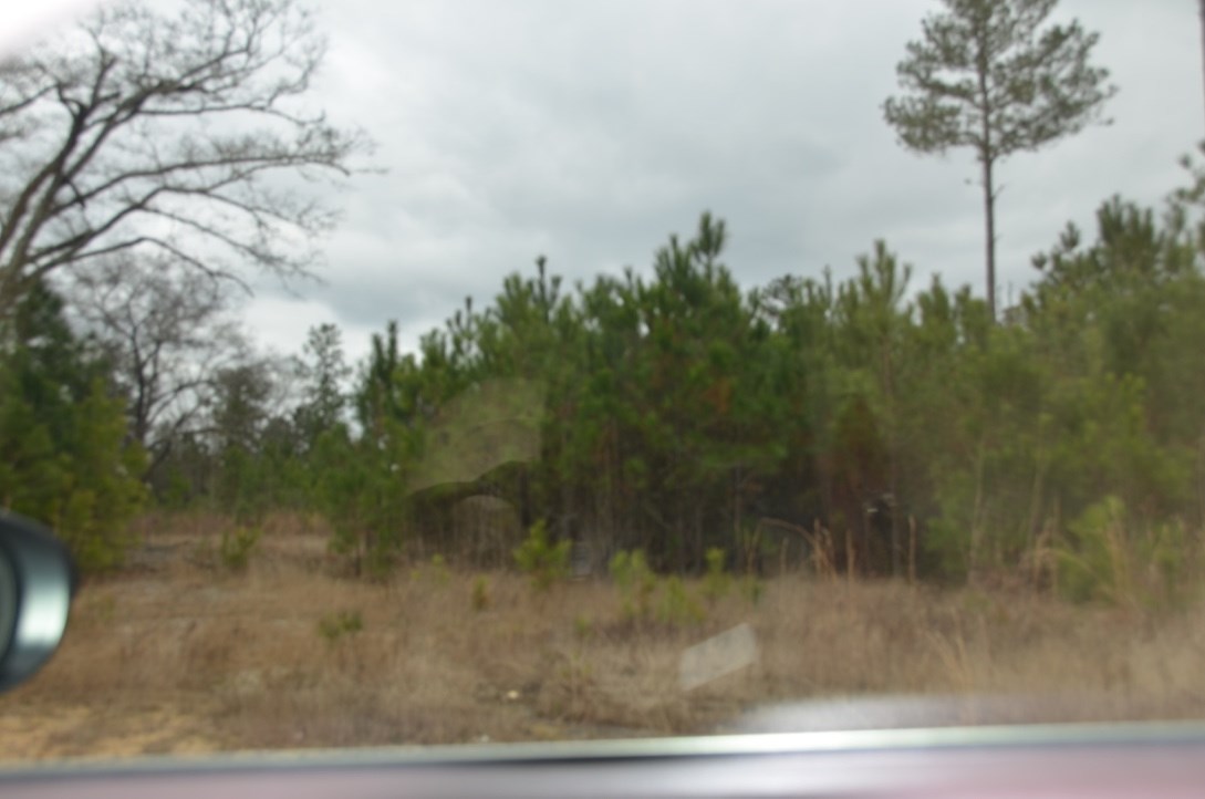 14-acres Store Front Road Chester, SC 29706 - Photo 7 of 7 Gallery Image 7