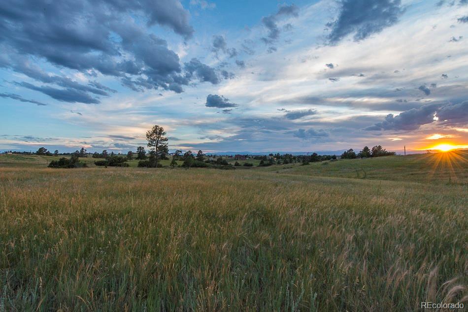 9316 Apache Road Parker, CO 80138 - Photo 7 of 11 Gallery Image 7