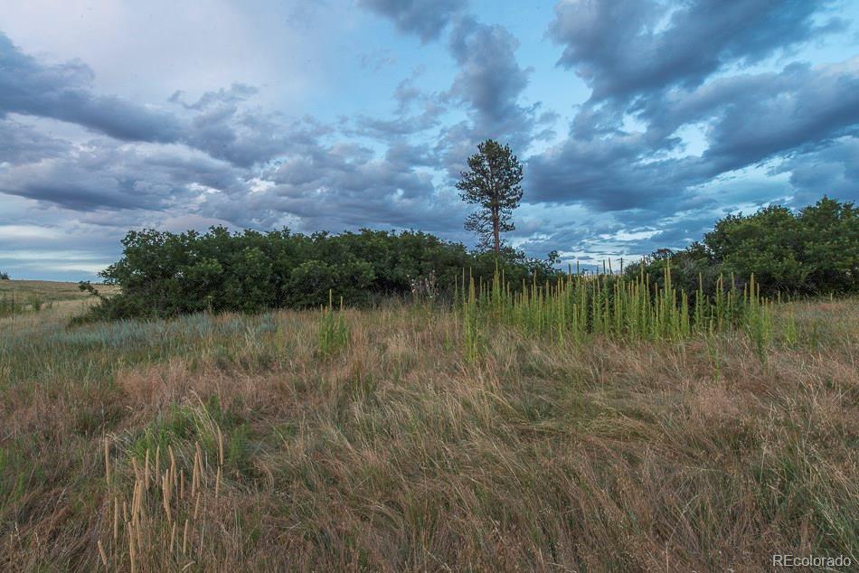 9316 Apache Road Parker, CO 80138 - Photo 10 of 11 Gallery Image 10