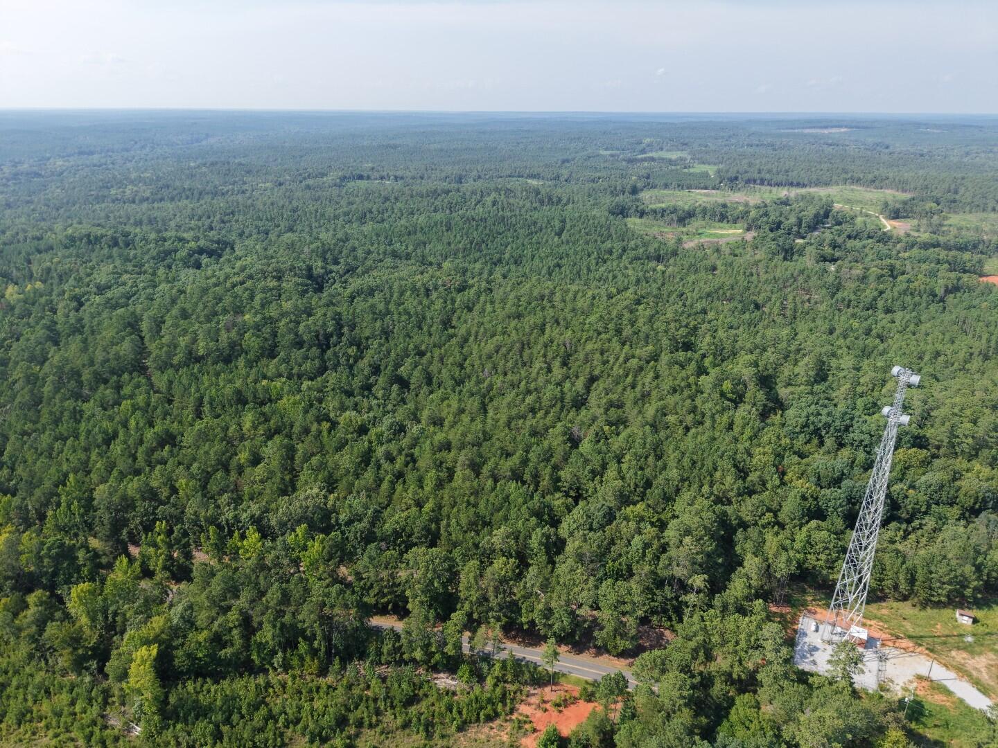 3096 State Rd S-20-33, Unit PARCEL 1 Blair, SC 29015 - Photo 20 of 32 DJI_20260811164748_0224_D (Large)