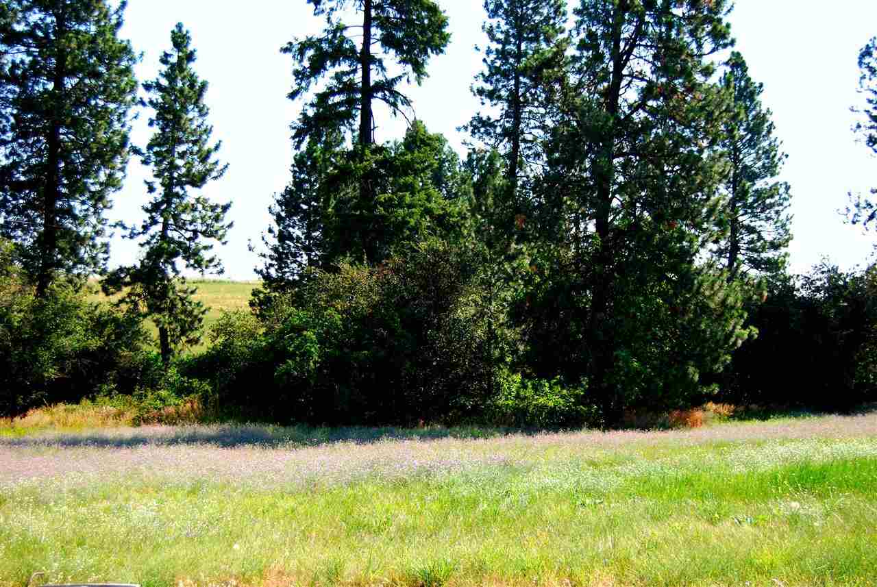 8921 North Lehman Road Spokane, WA 99217 - Photo 13 of 20 Gallery Image 13