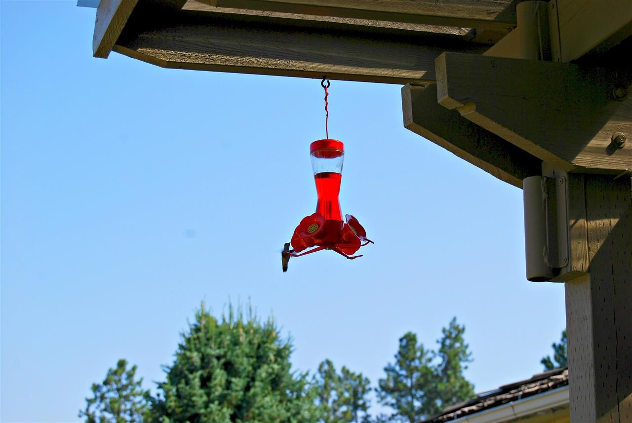 8921 North Lehman Road Spokane, WA 99217 - Photo 14 of 20 Gallery Image 14