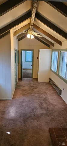 a view of a potted plant