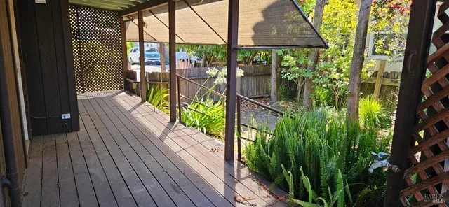 a view of a garden from a patio