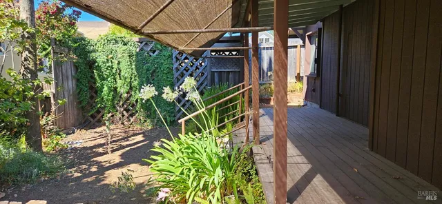 a view of a backyard with pathway