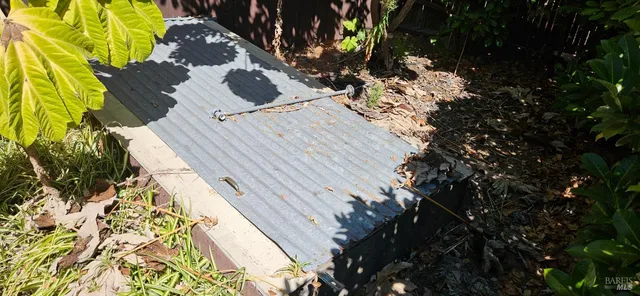 a view of a yard with plants