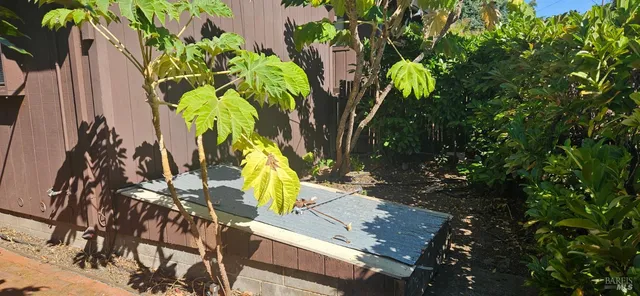 $995,000 | 523 Center Street, Healdsburg, CA 95448